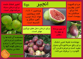 میوه های قرآنی ۱
