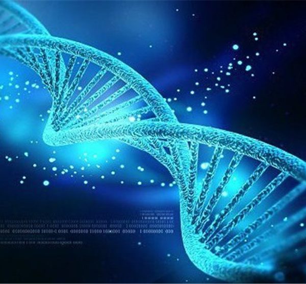 یک دقیقه برای یک عمر : ژن های اسرار آمیز