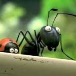 فیلم کوتاه مورچه